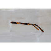GM - 6821 - Translucent - Acetate - Oval - Eyewear