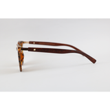 GM - 5293 - Tortoise - Acetate - Sunglasses