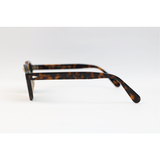 Moscot Lemtosh – TOBACCO – Acetate – Sunglasses