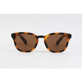 GM - 8827 - Tortoise Brown - Acetate - Rectangle - Sunglasses