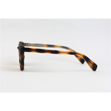 GM - 8827 - Tortoise Brown - Acetate - Rectangle - Sunglasses