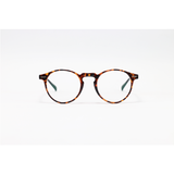 Moscot - 2320 - Velvyn Sun - Transition - Tortoise - Translucent - Eye Wear