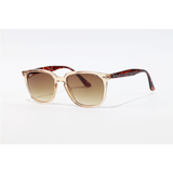 Ray Ban - 4362 - Brown Translucent - Acetate - Rectangle - Sunglasses