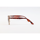 Ray Ban - 4362 - Brown Translucent - Acetate - Rectangle - Sunglasses