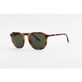 Ray Ban - 2203 - Tortoise Green - Acetate - Square - Sunglasses