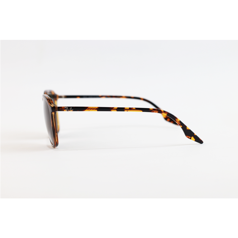 Ray Ban - 2203 - Tortoise Green - Acetate - Square - Sunglasses