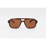 David Beckham - 1075 - Brown Horn - Acetate - Aviator - Polarized - Sunglasses