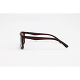 Carrera - 2412 - Matte Brown - Acetate - Rectangle - Polarized - Sunglasses