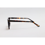 Tom Ford - ASLAN - 1175 - Tortoise Brown Gradient - Acetate - Rectangle - Sunglasses